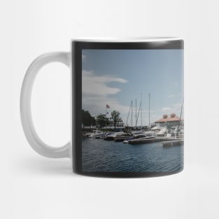 Lakefront in Vermont Mug